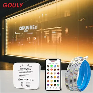 IP20/IP65 RGB LED Smart Color-Changing Light Strip